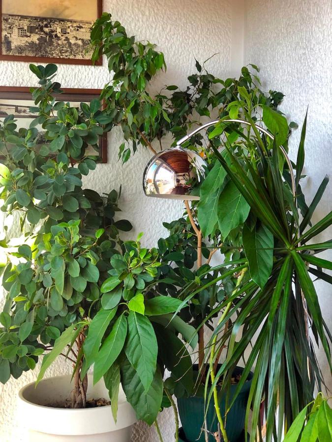 Sokolov Apartment Smederevo Ngoại thất bức ảnh